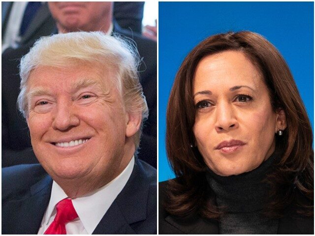 Poll: Most Voters See Donald Trump as Strong Leader, Kamala Harris as Weak Leader