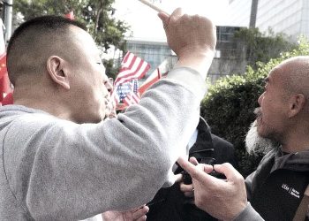 Pro-Beijing Protesters