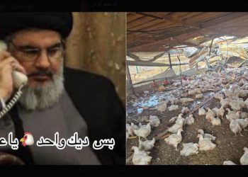 ‘Battle of the Chicken’ – Arab social media erupts in mockery after Hezbollah rocket hits Israeli chicken coop