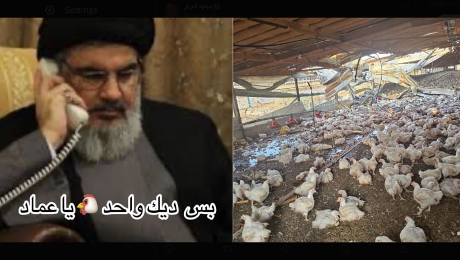 ‘Battle of the Chicken’ – Arab social media erupts in mockery after Hezbollah rocket hits Israeli chicken coop