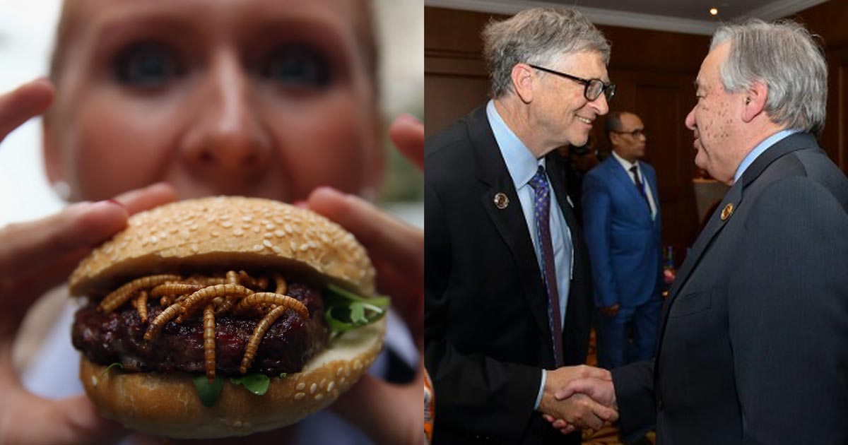 Bill Gates Working with UN to Flood Food Supply with Insects