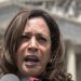 Harris Campaign Confirms VP Reversed Prior Positions on Immigration