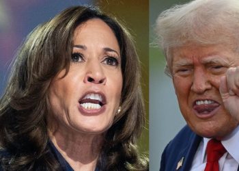 Democrats hoped population growth would turn North Carolina blue, but here's how Trump is crushing those hopes