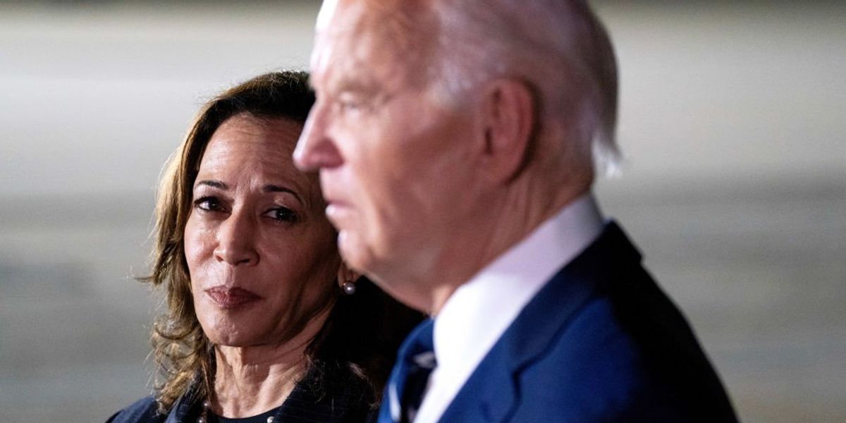 Kamala Harris has 'no regrets' over gaslighting the American people about Biden's decrepitude