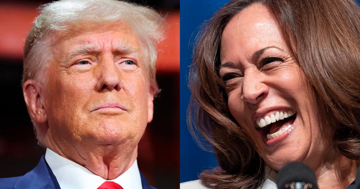 CNN Host: Trump Would ‘Probably’ Beat Harris If Election Based on Policy