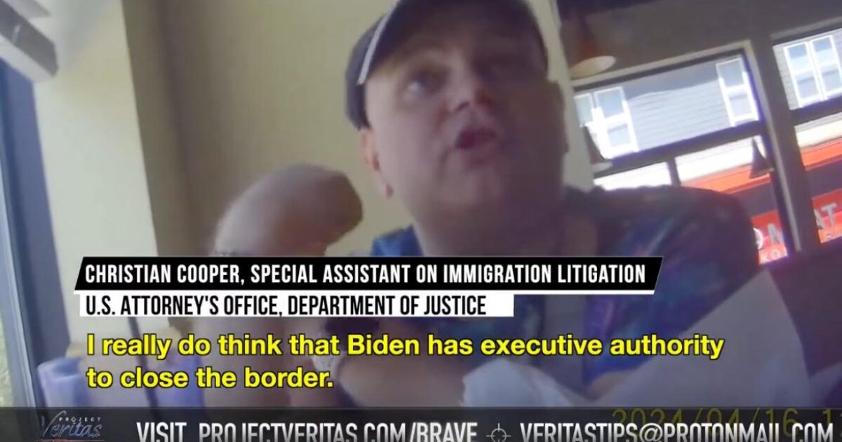 DOJ Immigration Attorney: Biden Has Authority to End Illegal Immigration, but Democrat Megadonors Control Border Agenda