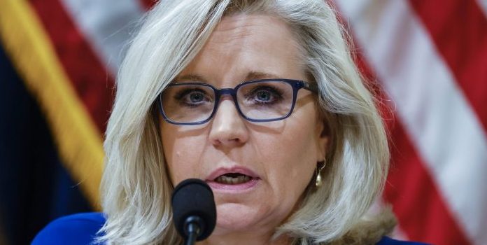 Liz Cheney Offers Unsolicited 2024 Endorsement to Candidate She Once Despised