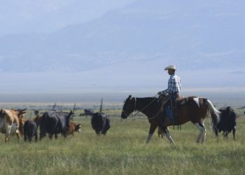 SPECIAL REPORT: Open Season, Without Farmers and Ranchers, What’s Next?