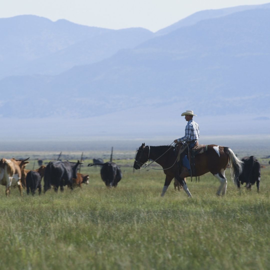 SPECIAL REPORT: Open Season, Without Farmers and Ranchers, What’s Next?