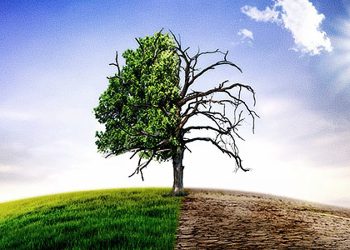 Climate Change (1)