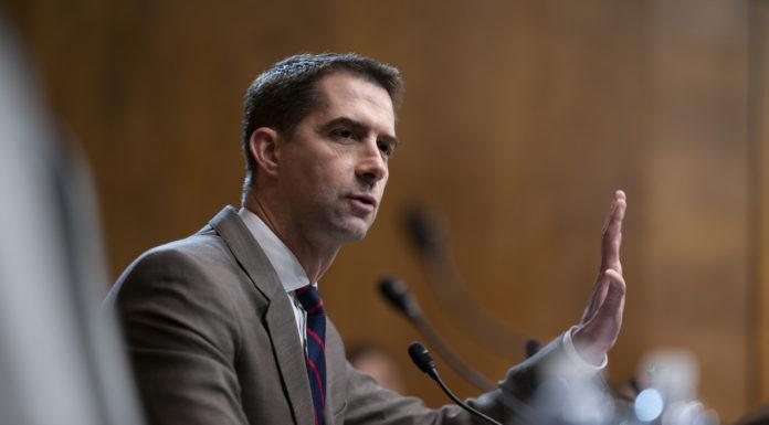 Cotton Masterfully Shuts Down CNN’s Baffling Questions on Trump’s Jewish Remarks