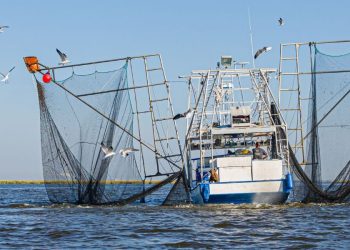 Save Our Shrimpers: Texas Fisherman In Danger