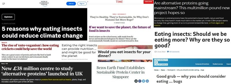 Insect Headlines