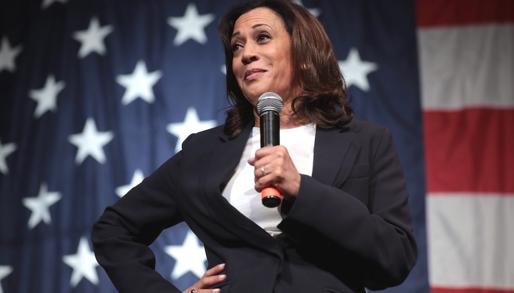 Liberal Outlet Identifies Major ‘Warning Sign’ For Kamala Harris’ Campaign
