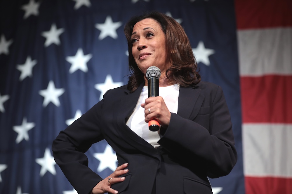 Liberal Outlet Identifies Major ‘Warning Sign’ For Kamala Harris’ Campaign