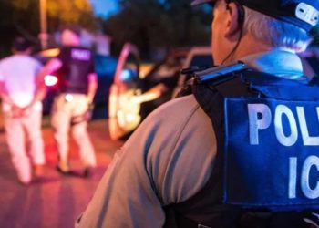 Haitian Sex Offender Arrested in Democrat Sanctuary City.