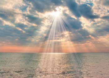 Sunny Side of the Stream: Two Miracles: Found at Sea and Waking Up from a Coma