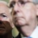 RINOs