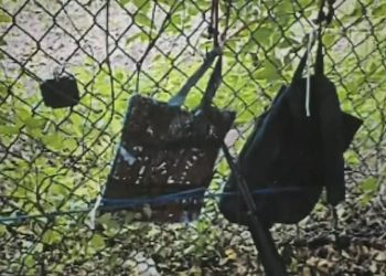 Trump Assassin Fence