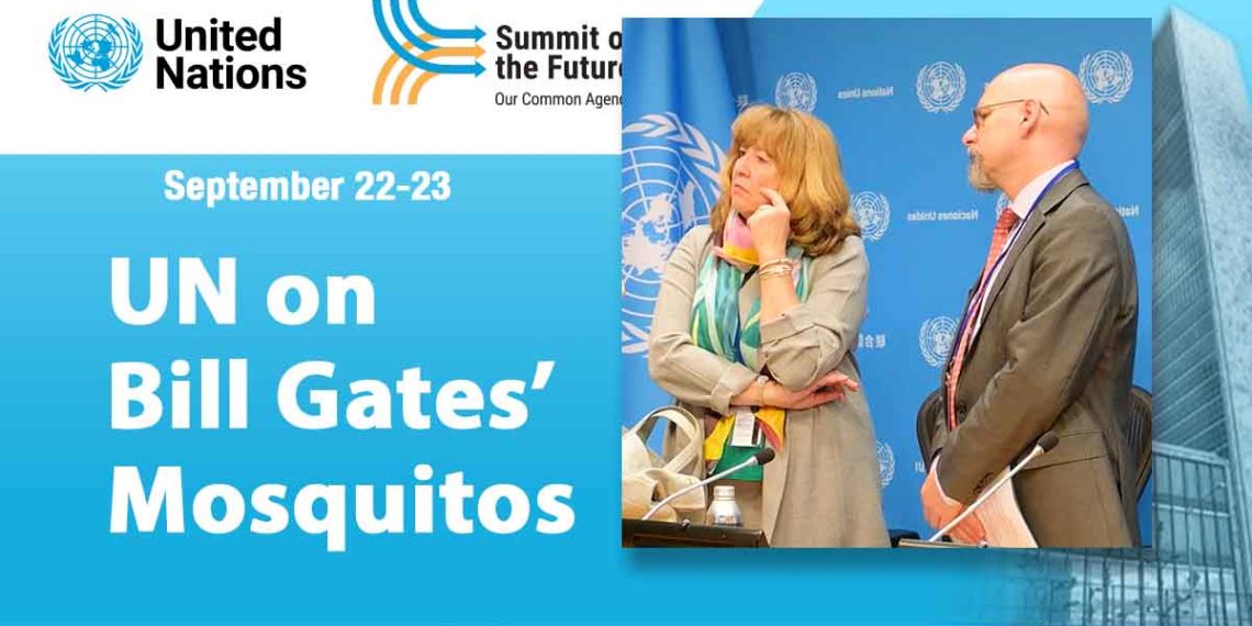 UN on Bill Gates’ Genetically Engineered Mosquitoes