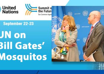 UN on Bill Gates’ Genetically Engineered Mosquitoes