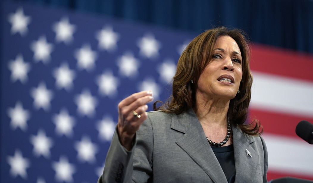 What Did 'Broadband Czar' Harris Do With the $40 Billion Appropriated for Internet?