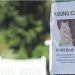 Report: 16 pet cats disappear in Bangor, Maine … which just had an influx of Haitian migrants