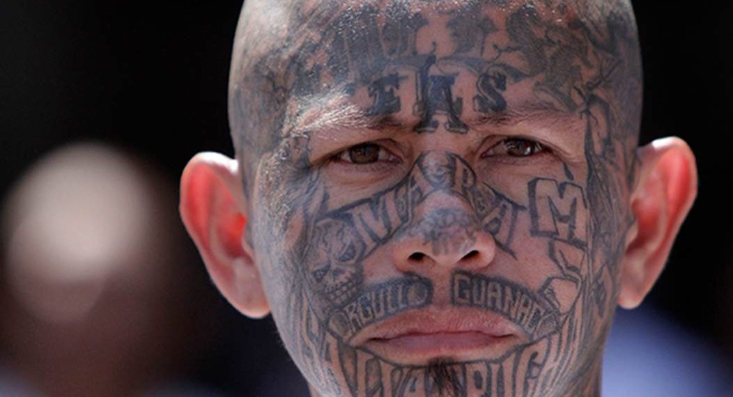 UPDATE: The Mayor of Aurora, CO Speaks on Apartment Building Takeovers by Armed Gangs