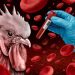 The “Cluster” of Possible Human Bird Flu Infections Has Expanded to 8