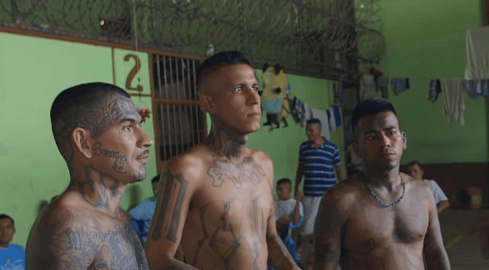 SCOOP: Every MS-13 Inmate in Country Sent to the Same Understaffed, Unsecured Prison