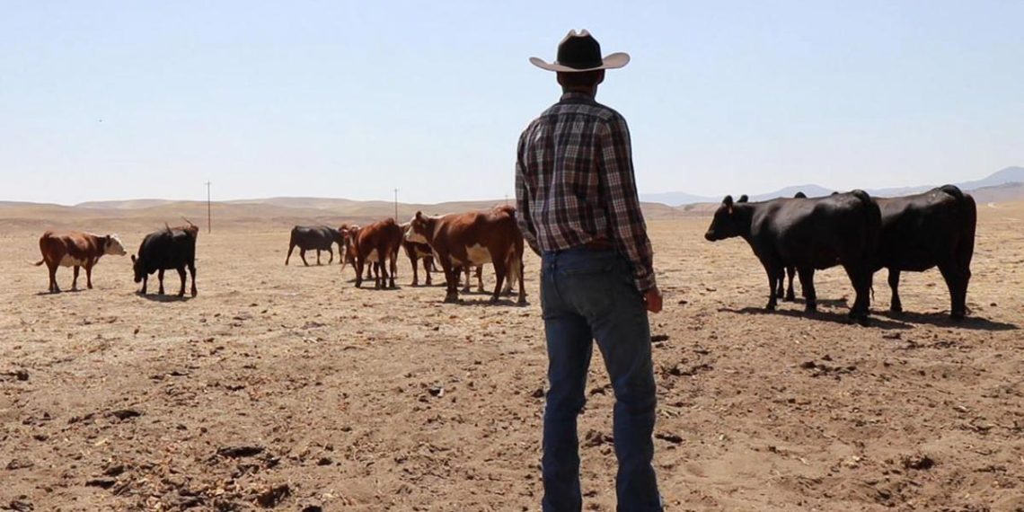 Banks Urged to Defund Farming Industry to Limit Meat & Dairy Consumption