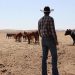 Banks Urged to Defund Farming Industry to Limit Meat & Dairy Consumption