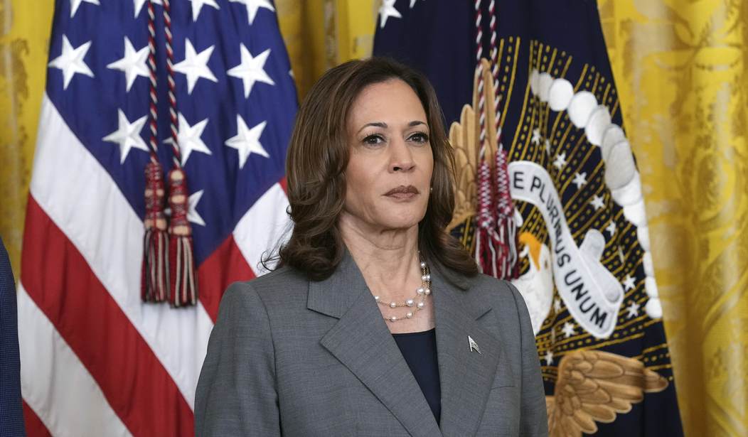 Kamala Harris Hardest Hit After ICE Releases Stunning Data on Convicted Illegals Still in the US