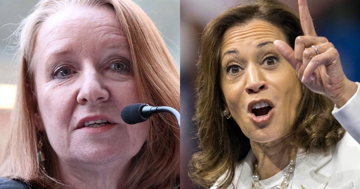 Kamala Harris Hires Top Socialist Strategist to Advise Campaign