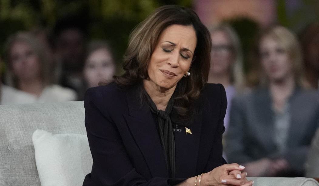 Here's the Question a Dem Senator Couldn't Answer Regarding Kamala's Economic Plan