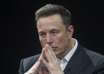Elon Musk torches Democrats after former DNC leader praises suppression of free speech in Brazil