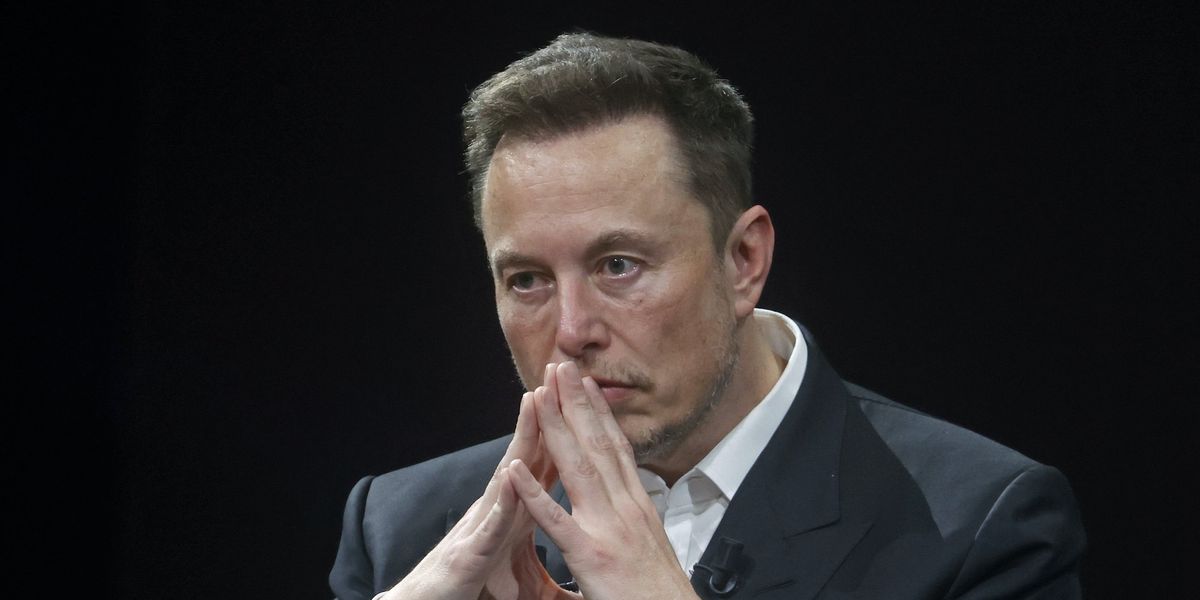 Elon Musk torches Democrats after former DNC leader praises suppression of free speech in Brazil