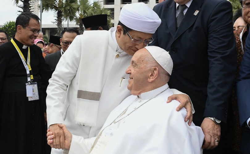 Pope Francis and Indonesian Grand Imam call for inter-religious action to fight ‘climate change’