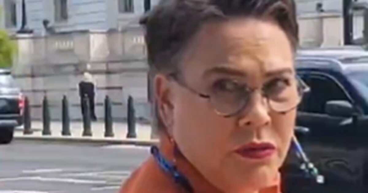 LIKE A BOSS: Conservative Republican Rep. Harriet Hageman Expertly Trolls Code Pinko Protesters in DC (VIDEO)