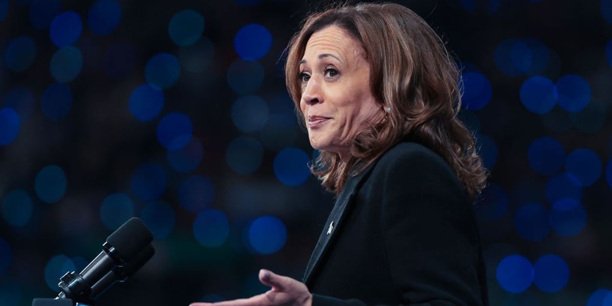 Hundreds of former Deep State officials and nominal Republicans endorse Harris