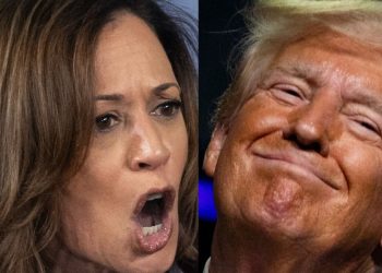 Kamala Harris' chances to win just got even worse, according to updated model from Nate Silver