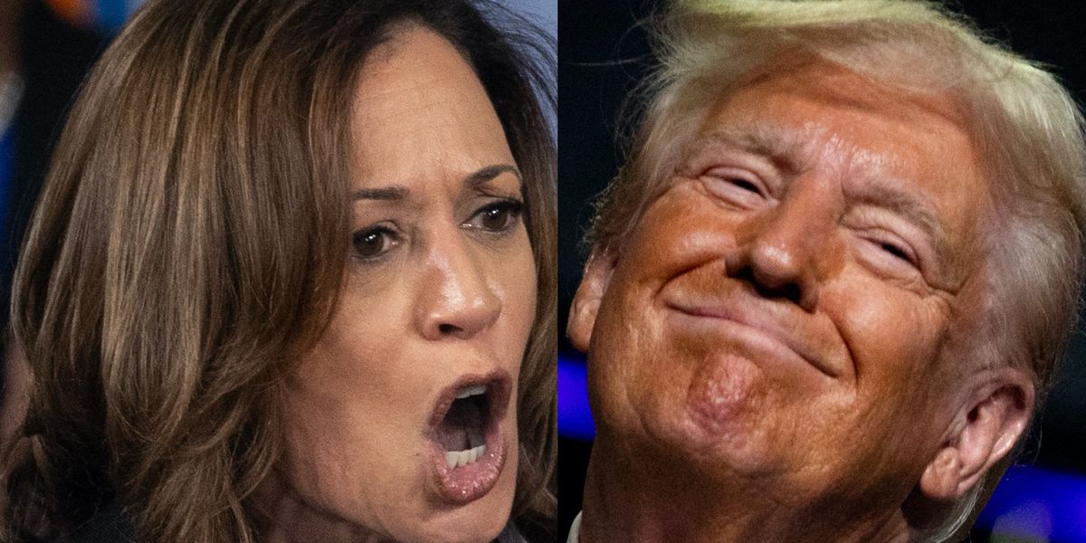 Kamala Harris' chances to win just got even worse, according to updated model from Nate Silver