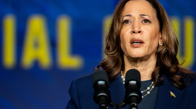 Why Men Hate Kamala