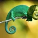 Can We Have An Honest Conversation About Kamala Harris