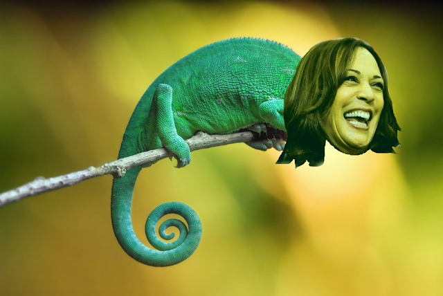 Can We Have An Honest Conversation About Kamala Harris