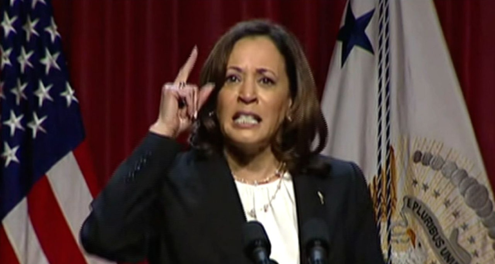 Kamala Has Not Done A Formal Press Conference in 60 Days