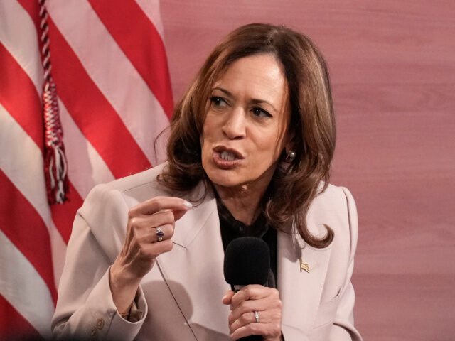 ‘Groceries Still Too High’: Kamala Harris Undermines Her Own Economic Record