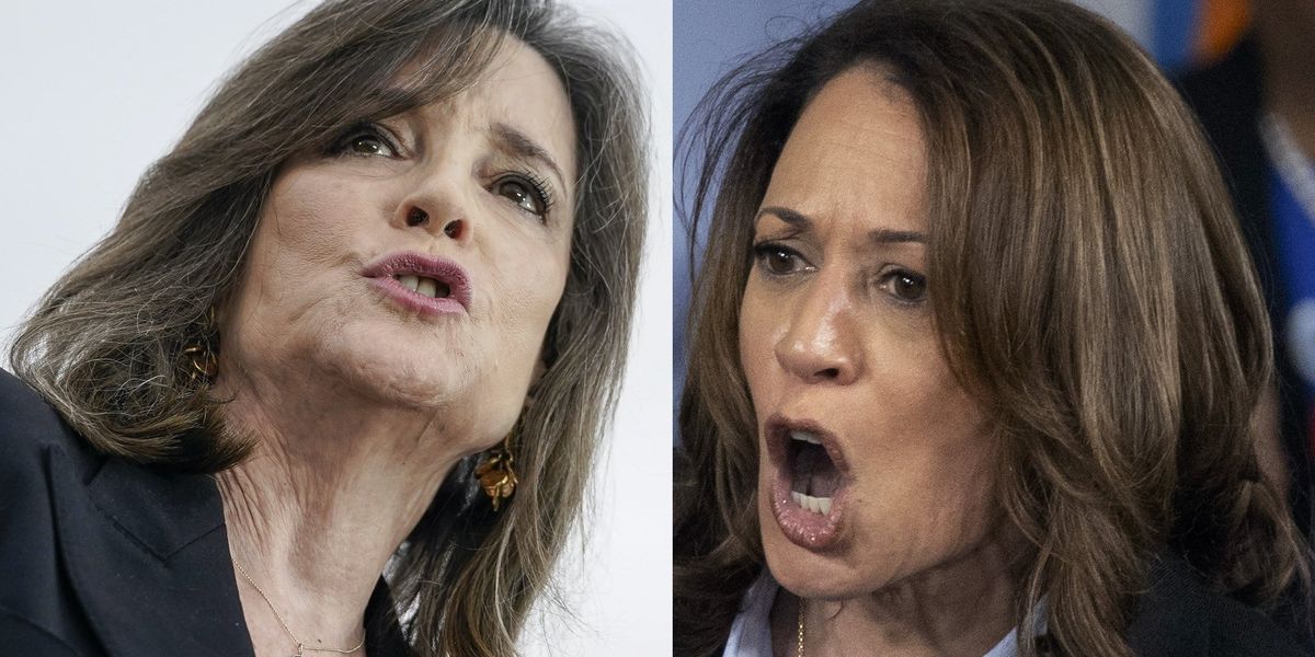 Marianne Williamson predicts 'eating cats issue' will hurt Dems in election: 'Haitian voodoo is real'