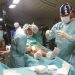 NATO Prepares For Mass Transport Of Wounded Soldiers In Scenario Of War With Russia