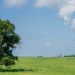 Supreme Court’s Move to Gut the Administrative State Tees Up Trouble for the Harris-Biden Regime’s Green Power Plant Rules